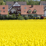 Wohneigentum wird unerschwinglich? Gut so!