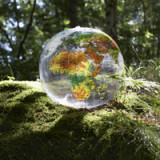 Klimabewusst durch das SPI-Universum