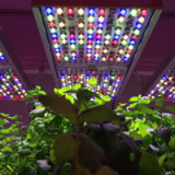 IG Metall lehnt Osram-Übernahme durch AMS weiter ab