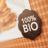 Nachhaltige Fonds auf dem Prüfstand