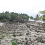 Swiss Re: Weniger Katastrophenschäden