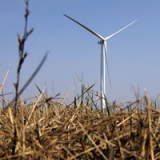 Gurit mit starkem Umsatzwachstum