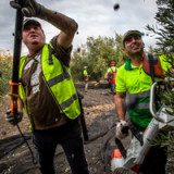 Wirtschaft der Eurozone schwächelt Ende 2019