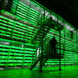 «Wir bewegen uns in Richtung einer digitalen Währung»