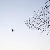 Aktien kleiner Unternehmen holen auf