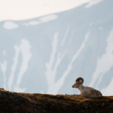 Für die Banken wird die Luft immer dünner