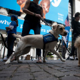 Neuer Realismus bei Tech-Börsengängen