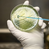 Polyphor-Partner Enbiotix begibt Wandelanleihe