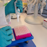 Wie Pharmaprofis die Chancen von Corona-Aktien einschätzen