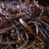 Die Konjunkturschwäche lastet auf den Industriemetallen