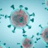 Intensive Suche nach Coronamitteln