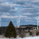Resistent gegen Corona
