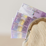 Das grosse Dividendensterben