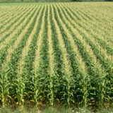 Reiche sehen Private Equity skeptischer