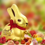 Lindt-Goldhase ist keine geschützte Farbmarke