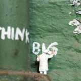 Die Kleinen kommen gross raus