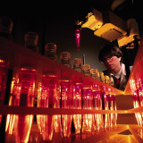 Für diese Biotechs wird die Zeit knapp