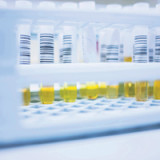 Das FuW-Value-Portfolio erholt sich gut