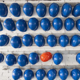 Das Portfolio mit Optionen diversifizieren
