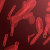 In T-Zellen liegt die Zukunft der Onkologie