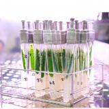 Lonza-Geschäft passt zu Lanxess