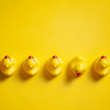 Mutig zur eigenen Meinung stehen