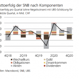 Bullenritt der SNB.