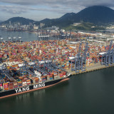 Fragiler Handelsboom