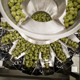 Cannabis-Werte heben ab