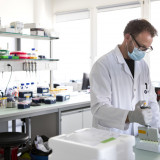 Moleculars Ensovibep neutralisiert Omikron
