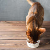 FuW-Value-Portfolio erreicht Allzeithoch