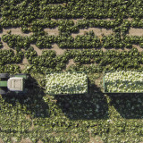 Die Agrarwirtschaft muss sich ändern