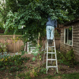 Ärger am Gartenzaun vermeiden