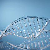 Crispr beflügelt die Anlegerfantasie