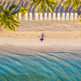 Die spezielle Anatomie der Coronakonjunktur