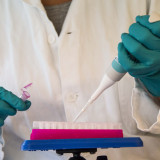Roche stellt gute Daten zu Tecentriq vor