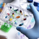 Novartis und Molecular treiben Studie mit Coronakandidaten voran