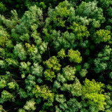 So teuer ist nachhaltiges Anlegen