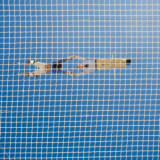 Investieren mit Fallnetz
