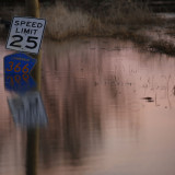 Setzen Notenbanken bald auf grüne Zinsen?