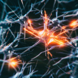 Biogen vor der existenziellen Alzheimer-Frage