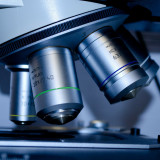 Molecular Partners: Covid-19-Kandidat erhält Fast-Track-Status