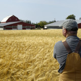 Syngenta könnte 50 Mrd. $ Börsenwert erreichen