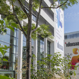 Idorsia schont ihre Finanzen