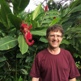 «Als reiche man Politikern eine geladene Waffe»