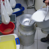 Hochdorf verharrt im Minus