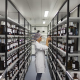 Halbjahreszahlen prägen die Ausserbörse