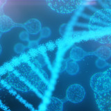 Gentherapieaktien: ein attraktives Minenfeld