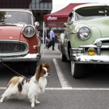Youngtimers beruft ausserordentliche Generalversammlung ein