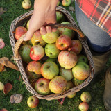 Niedriger Streubesitz verlangt besondere Sorgfalt